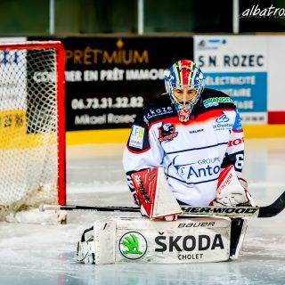 ALBATROS DE BREST VS LES DOGS DE CHOLET 16/11/18 - © Marion BESCOND