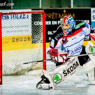 ALBATROS DE BREST VS LES DOGS DE CHOLET 16/11/18 - © Marion BESCOND
