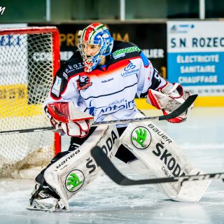 ALBATROS DE BREST VS LES DOGS DE CHOLET 16/11/18 - © Marion BESCOND