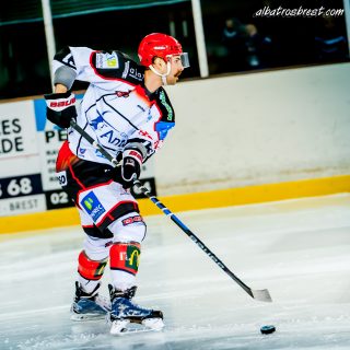 ALBATROS DE BREST VS LES DOGS DE CHOLET 16/11/18 - © Marion BESCOND
