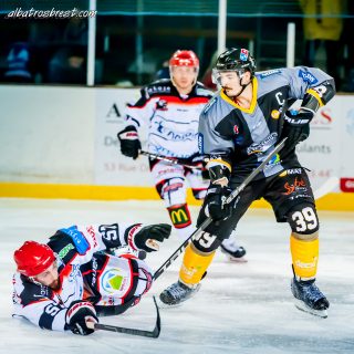 ALBATROS DE BREST VS LES DOGS DE CHOLET 16/11/18 - © Marion BESCOND