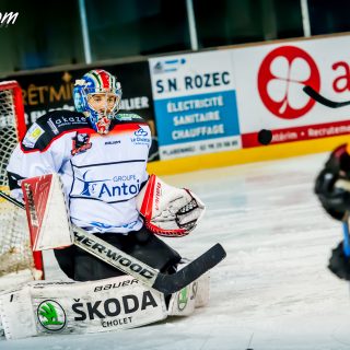 ALBATROS DE BREST VS LES DOGS DE CHOLET 16/11/18 - © Marion BESCOND