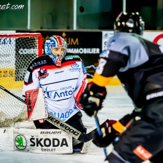 ALBATROS DE BREST VS LES DOGS DE CHOLET 16/11/18 - © Marion BESCOND