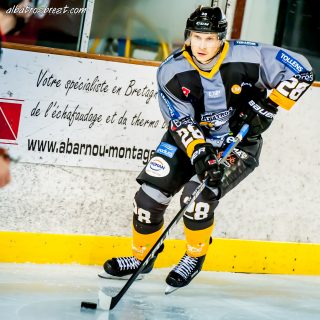 ALBATROS DE BREST VS LES DOGS DE CHOLET 16/11/18 - © Marion BESCOND