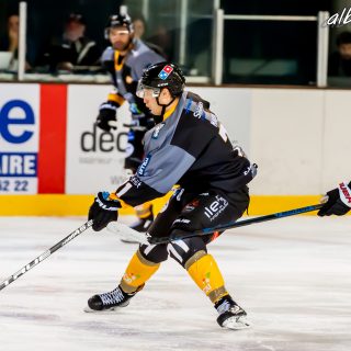 ALBATROS DE BREST VS LES DOGS DE CHOLET 16/11/18 - © Marion BESCOND