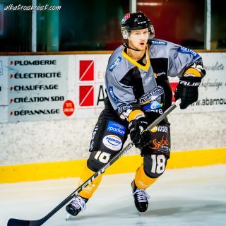 ALBATROS DE BREST VS LES DOGS DE CHOLET 16/11/18 - © Marion BESCOND