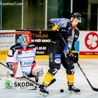ALBATROS DE BREST VS LES DOGS DE CHOLET 16/11/18 - © Marion BESCOND