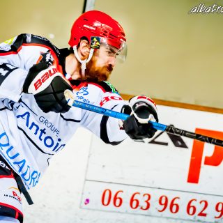 ALBATROS DE BREST VS LES DOGS DE CHOLET 16/11/18 - © Marion BESCOND