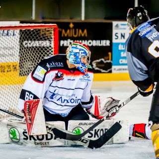 ALBATROS DE BREST VS LES DOGS DE CHOLET 16/11/18 - © Marion BESCOND