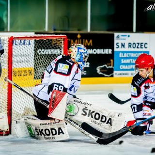 ALBATROS DE BREST VS LES DOGS DE CHOLET 16/11/18 - © Marion BESCOND