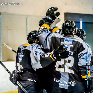 ALBATROS DE BREST VS LES DOGS DE CHOLET 16/11/18 - © Marion BESCOND
