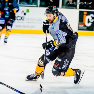 ALBATROS DE BREST VS LES DOGS DE CHOLET 16/11/18 - © Marion BESCOND