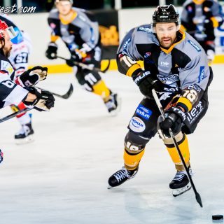 ALBATROS DE BREST VS LES DOGS DE CHOLET 16/11/18 - © Marion BESCOND