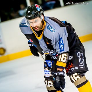 ALBATROS DE BREST VS LES DOGS DE CHOLET 16/11/18 - © Marion BESCOND