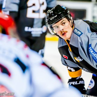 ALBATROS DE BREST VS LES DOGS DE CHOLET 16/11/18 - © Marion BESCOND