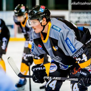 ALBATROS DE BREST VS LES DOGS DE CHOLET 16/11/18 - © Marion BESCOND