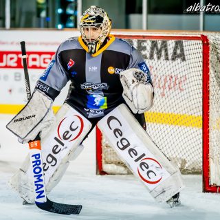 ALBATROS DE BREST VS LES DOGS DE CHOLET 16/11/18 - © Marion BESCOND