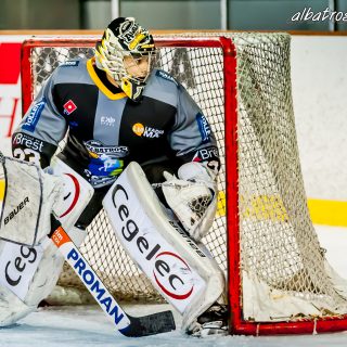 ALBATROS DE BREST VS LES DOGS DE CHOLET 16/11/18 - © Marion BESCOND