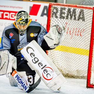 ALBATROS DE BREST VS LES DOGS DE CHOLET 16/11/18 - © Marion BESCOND