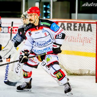 ALBATROS DE BREST VS LES DOGS DE CHOLET 16/11/18 - © Marion BESCOND