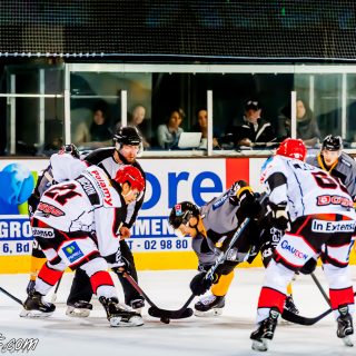 ALBATROS DE BREST VS LES DOGS DE CHOLET 16/11/18 - © Marion BESCOND