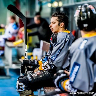 ALBATROS DE BREST VS LES DOGS DE CHOLET 16/11/18 - © Marion BESCOND