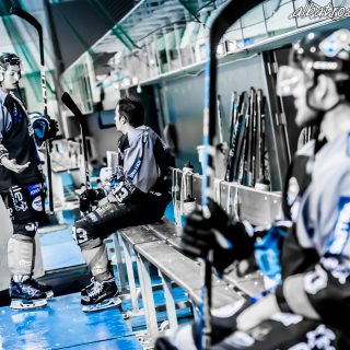 ALBATROS DE BREST VS LES DOGS DE CHOLET 16/11/18 - © Marion BESCOND