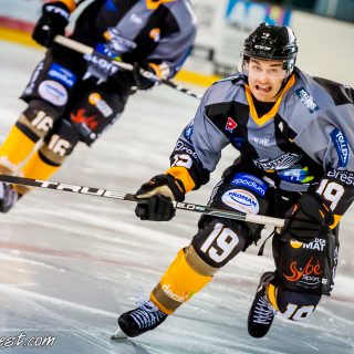 ALBATROS DE BREST VS LES DOGS DE CHOLET 16/11/18 - © Marion BESCOND