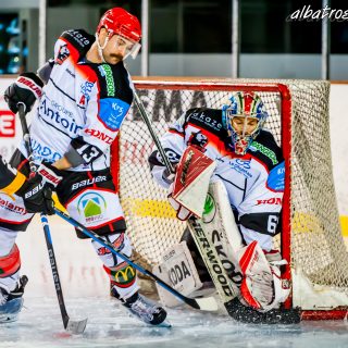 ALBATROS DE BREST VS LES DOGS DE CHOLET 16/11/18 - © Marion BESCOND