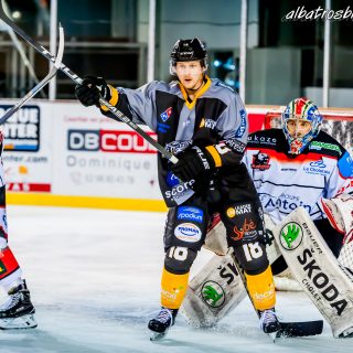 ALBATROS DE BREST VS LES DOGS DE CHOLET 16/11/18 - © Marion BESCOND