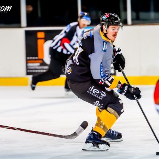 ALBATROS DE BREST VS LES DOGS DE CHOLET 16/11/18 - © Marion BESCOND