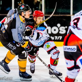 ALBATROS DE BREST VS LES DOGS DE CHOLET 16/11/18 - © Marion BESCOND