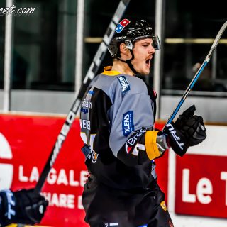 ALBATROS DE BREST VS LES DOGS DE CHOLET 16/11/18 - © Marion BESCOND