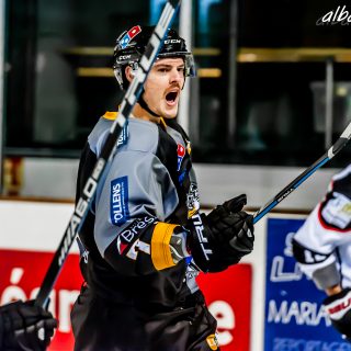 ALBATROS DE BREST VS LES DOGS DE CHOLET 16/11/18 - © Marion BESCOND