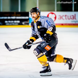 ALBATROS DE BREST VS LES DOGS DE CHOLET 16/11/18 - © Marion BESCOND