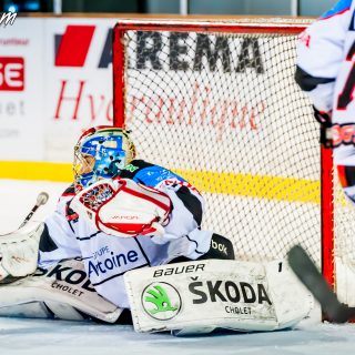 ALBATROS DE BREST VS LES DOGS DE CHOLET 16/11/18 - © Marion BESCOND
