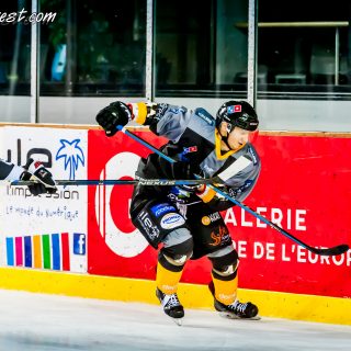 ALBATROS DE BREST VS LES DOGS DE CHOLET 16/11/18 - © Marion BESCOND