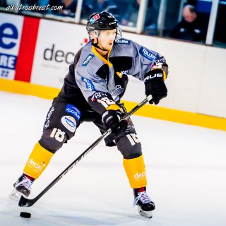 ALBATROS DE BREST VS LES DOGS DE CHOLET 16/11/18 - © Marion BESCOND