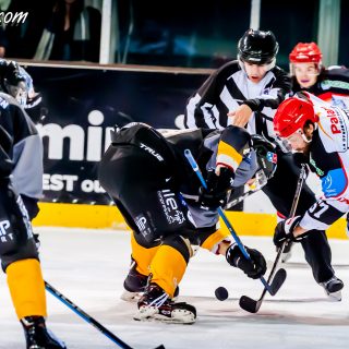 ALBATROS DE BREST VS LES DOGS DE CHOLET 16/11/18 - © Marion BESCOND