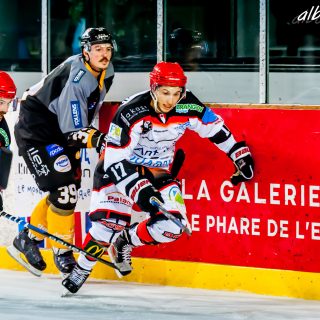 ALBATROS DE BREST VS LES DOGS DE CHOLET 16/11/18 - © Marion BESCOND