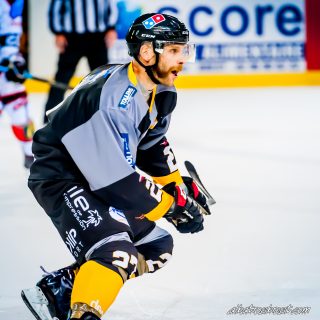 ALBATROS DE BREST VS LES DOGS DE CHOLET 16/11/18 - © Marion BESCOND