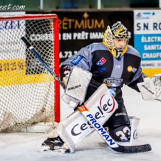 ALBATROS DE BREST VS LES DOGS DE CHOLET 16/11/18 - © Marion BESCOND