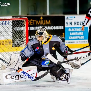 ALBATROS DE BREST VS LES DOGS DE CHOLET 16/11/18 - © Marion BESCOND