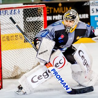 ALBATROS DE BREST VS LES DOGS DE CHOLET 16/11/18 - © Marion BESCOND