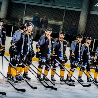 ALBATROS DE BREST VS LES DOGS DE CHOLET 16/11/18 - © Marion BESCOND