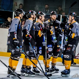 ALBATROS DE BREST VS LES DOGS DE CHOLET 16/11/18 - © Marion BESCOND
