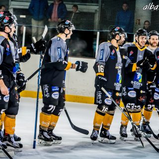 ALBATROS DE BREST VS LES DOGS DE CHOLET 16/11/18 - © Marion BESCOND