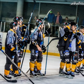 ALBATROS DE BREST VS LES DOGS DE CHOLET 16/11/18 - © Marion BESCOND