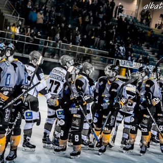 ALBATROS DE BREST VS LES DOGS DE CHOLET 16/11/18 - © Marion BESCOND