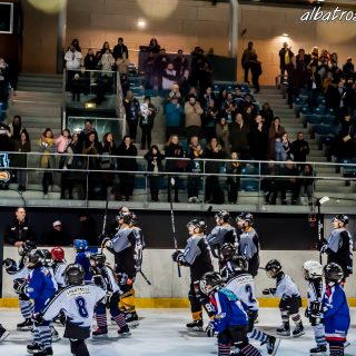 ALBATROS DE BREST VS LES DOGS DE CHOLET 16/11/18 - © Marion BESCOND